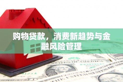 界首购物贷款，消费新趋势与金融风险管理