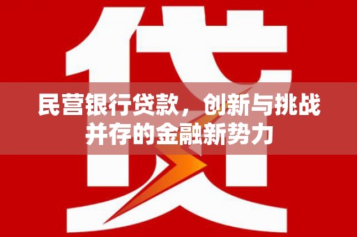 界首民营银行贷款，创新与挑战并存的金融新势力