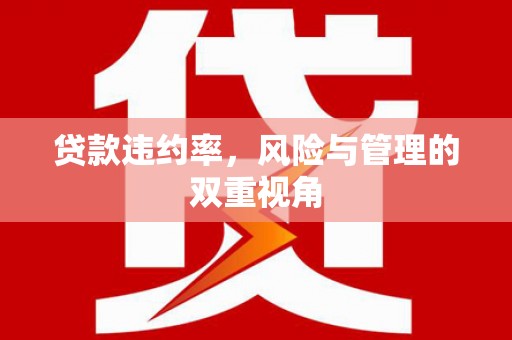 界首贷款违约率，风险与管理的双重视角