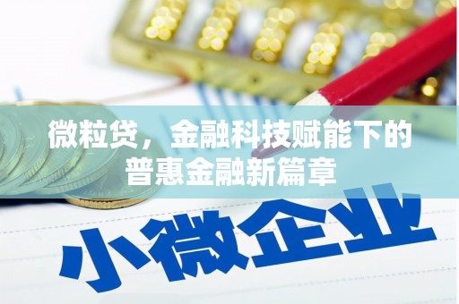 界首微粒贷，金融科技赋能下的普惠金融新篇章