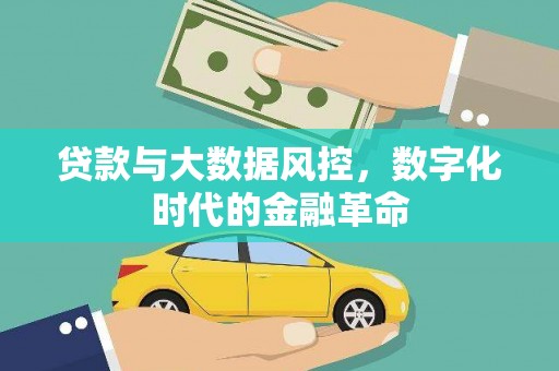界首贷款与大数据风控，数字化时代的金融革命