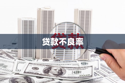 界首贷款不良率
