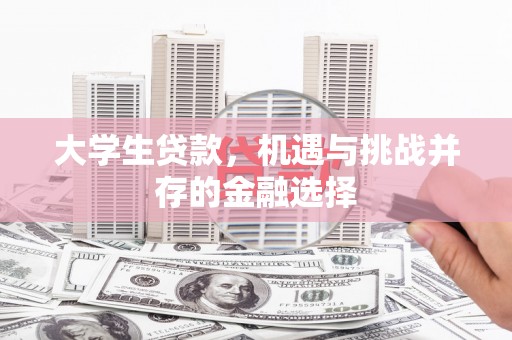 界首大学生贷款，机遇与挑战并存的金融选择