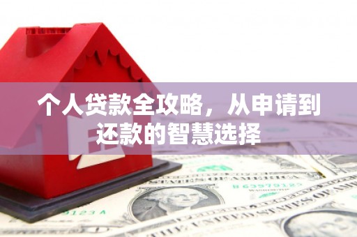界首个人贷款全攻略，从申请到还款的智慧选择