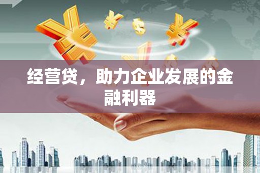 界首经营贷，助力企业发展的金融利器