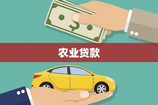 界首农业贷款