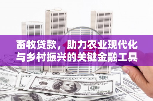 界首畜牧贷款，助力农业现代化与乡村振兴的关键金融工具