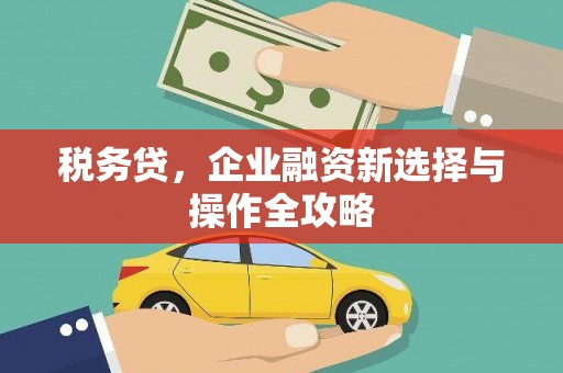 界首税务贷，企业融资新选择与操作全攻略