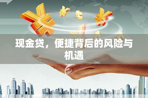 界首现金贷，便捷背后的风险与机遇