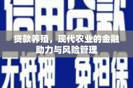 界首贷款养殖，现代农业的金融助力与风险管理
