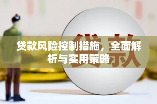 界首贷款风险控制措施，全面解析与实用策略