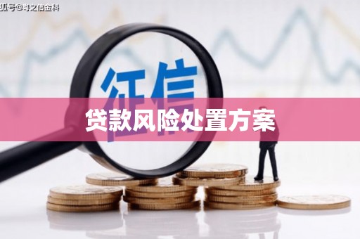 界首贷款风险处置方案