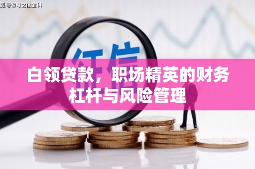 界首白领贷款，职场精英的财务杠杆与风险管理