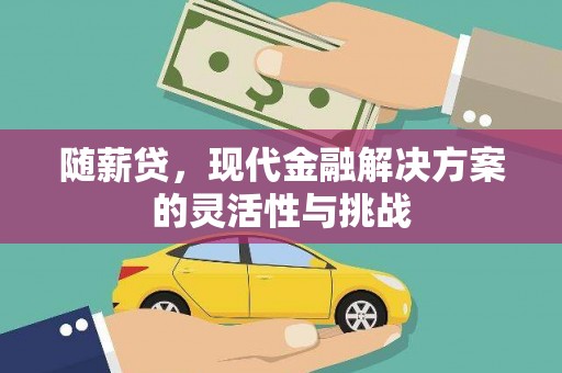 界首随薪贷，现代金融解决方案的灵活性与挑战