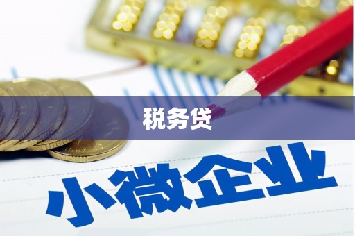 界首税务贷