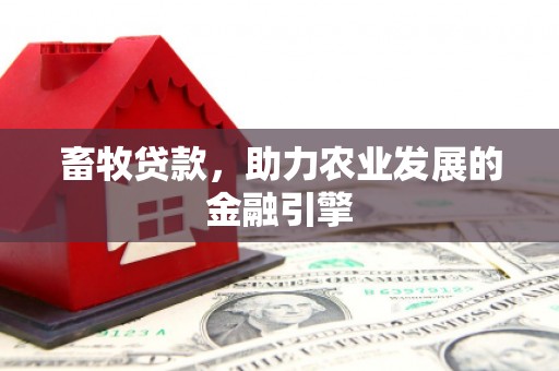 界首畜牧贷款，助力农业发展的金融引擎