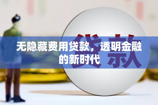 界首无隐藏费用贷款，透明金融的新时代