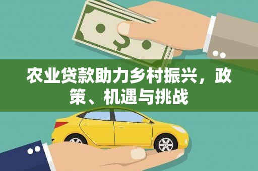 界首农业贷款助力乡村振兴，政策、机遇与挑战
