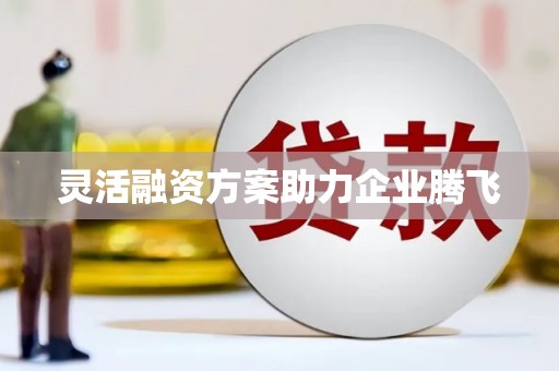界首灵活融资方案助力企业腾飞