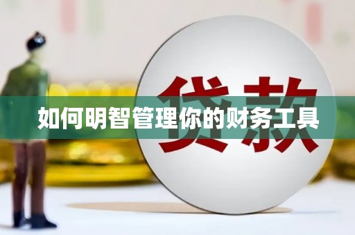 界首如何明智管理你的财务工具