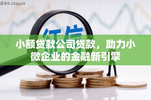 界首小额贷款公司贷款，助力小微企业的金融新引擎