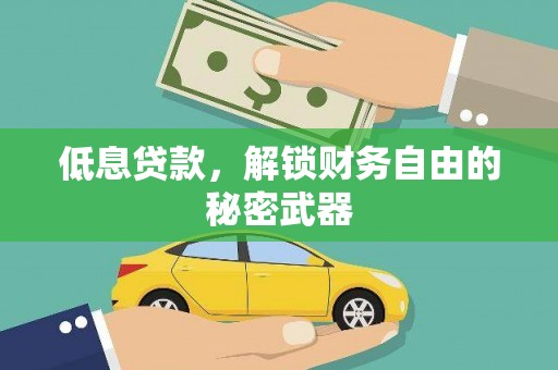界首低息贷款，解锁财务自由的秘密武器