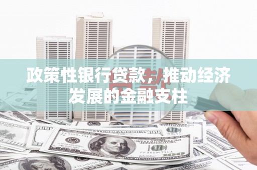 界首政策性银行贷款，推动经济发展的金融支柱