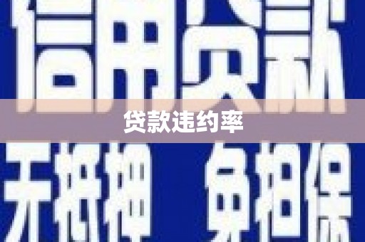 界首贷款违约率