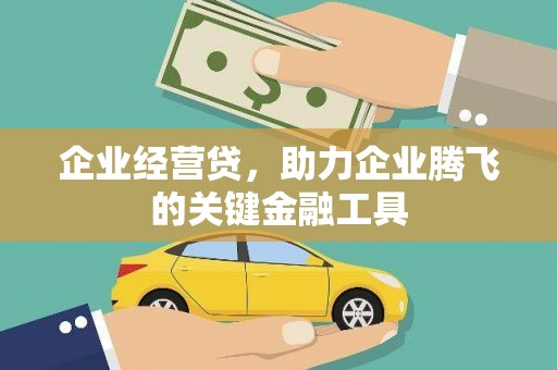 界首企业经营贷，助力企业腾飞的关键金融工具
