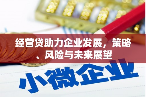 界首经营贷助力企业发展，策略、风险与未来展望