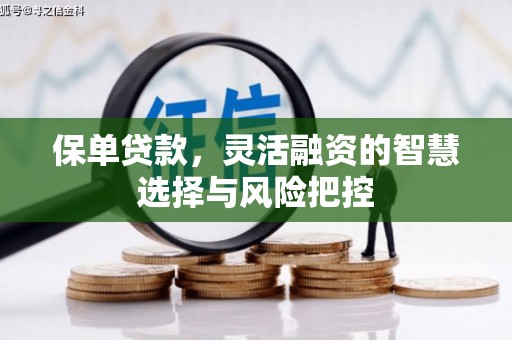 界首保单贷款，灵活融资的智慧选择与风险把控