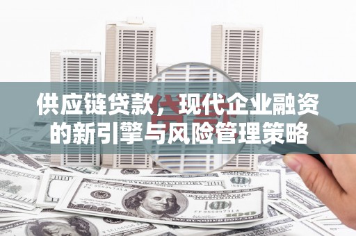界首供应链贷款，现代企业融资的新引擎与风险管理策略