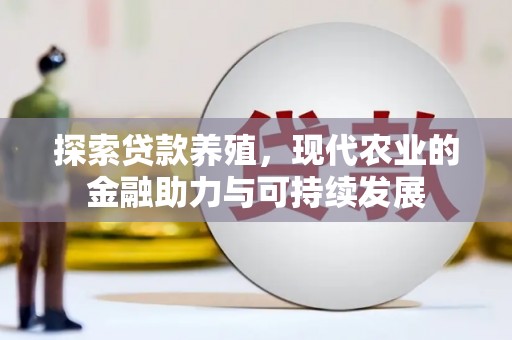 界首探索贷款养殖，现代农业的金融助力与可持续发展