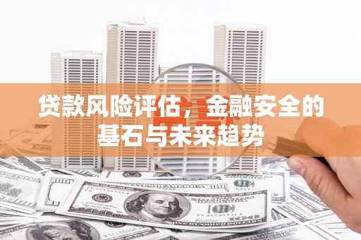 界首贷款风险评估，金融安全的基石与未来趋势