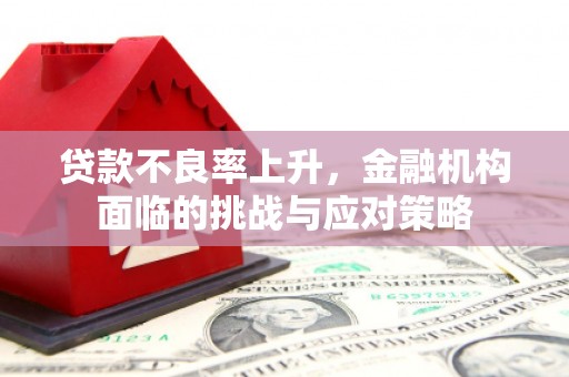 界首贷款不良率上升，金融机构面临的挑战与应对策略