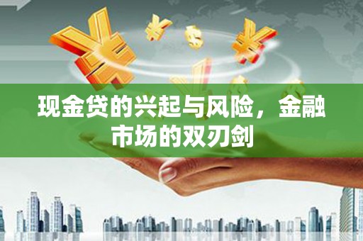 界首现金贷的兴起与风险，金融市场的双刃剑