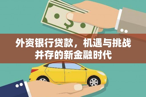 界首外资银行贷款，机遇与挑战并存的新金融时代