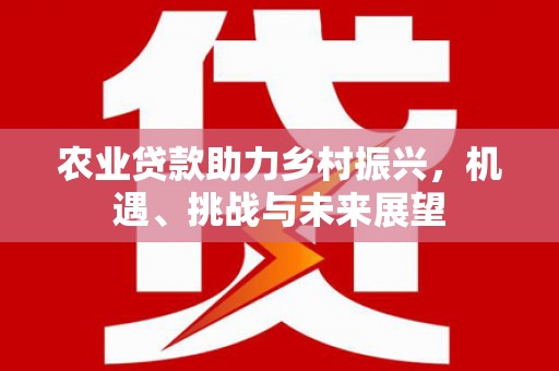界首农业贷款助力乡村振兴，机遇、挑战与未来展望