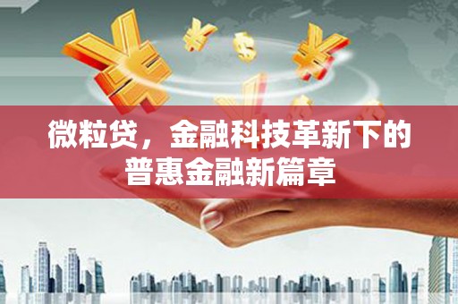 界首微粒贷，金融科技革新下的普惠金融新篇章
