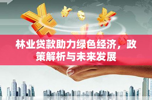 界首林业贷款助力绿色经济，政策解析与未来发展