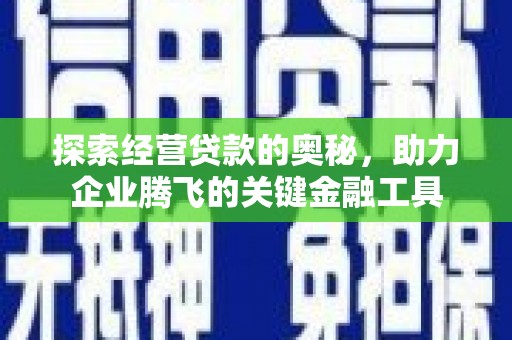 界首探索经营贷款的奥秘，助力企业腾飞的关键金融工具