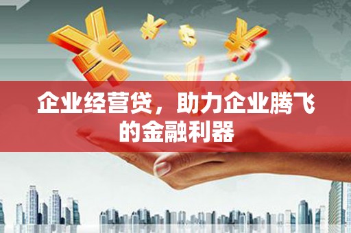 界首企业经营贷，助力企业腾飞的金融利器