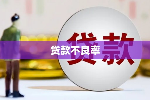 界首贷款不良率
