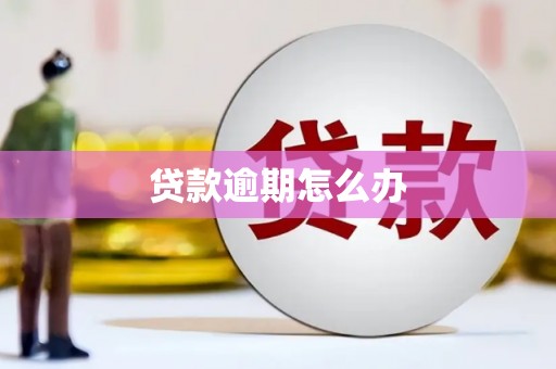 界首贷款逾期怎么办