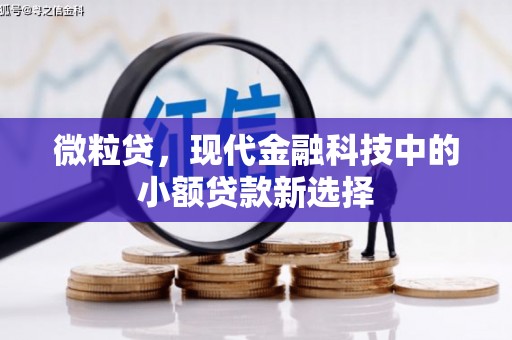 界首微粒贷，现代金融科技中的小额贷款新选择