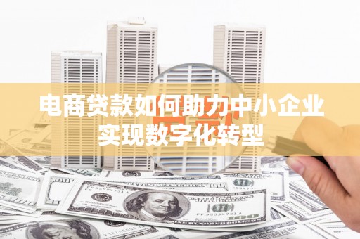 界首电商贷款如何助力中小企业实现数字化转型