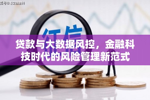 界首贷款与大数据风控，金融科技时代的风险管理新范式