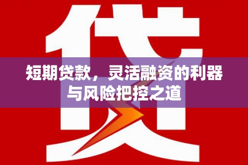 界首短期贷款，灵活融资的利器与风险把控之道