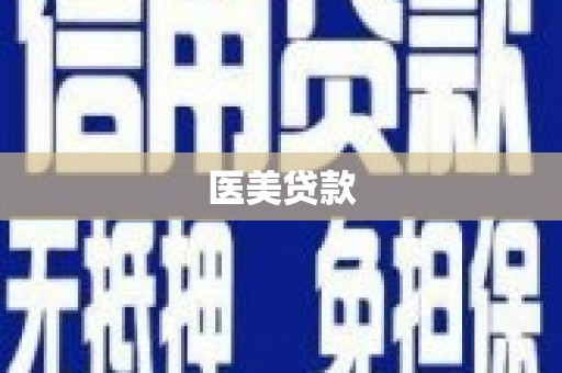 界首医美贷款
