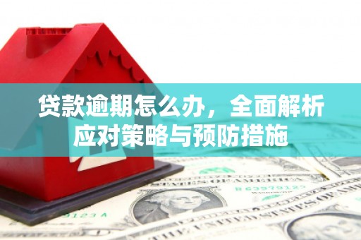 界首贷款逾期怎么办，全面解析应对策略与预防措施